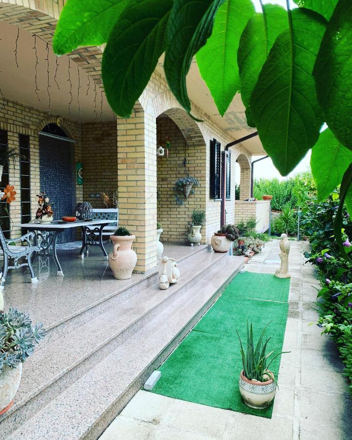 B&B Portobello Torrevecchia Teatina Dış mekan fotoğraf
